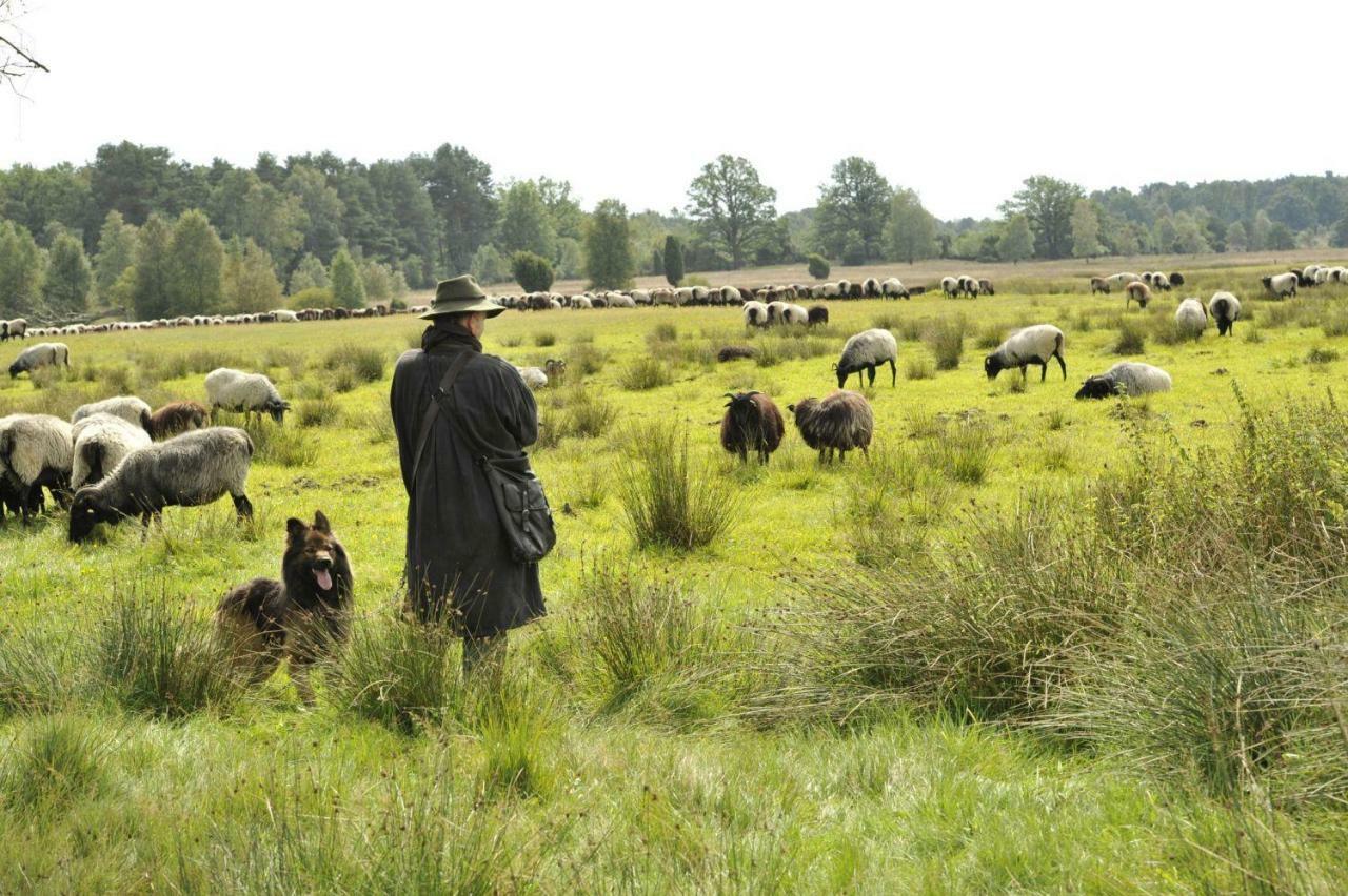 Ferienhof Cohrs Bispingen Bagian luar foto