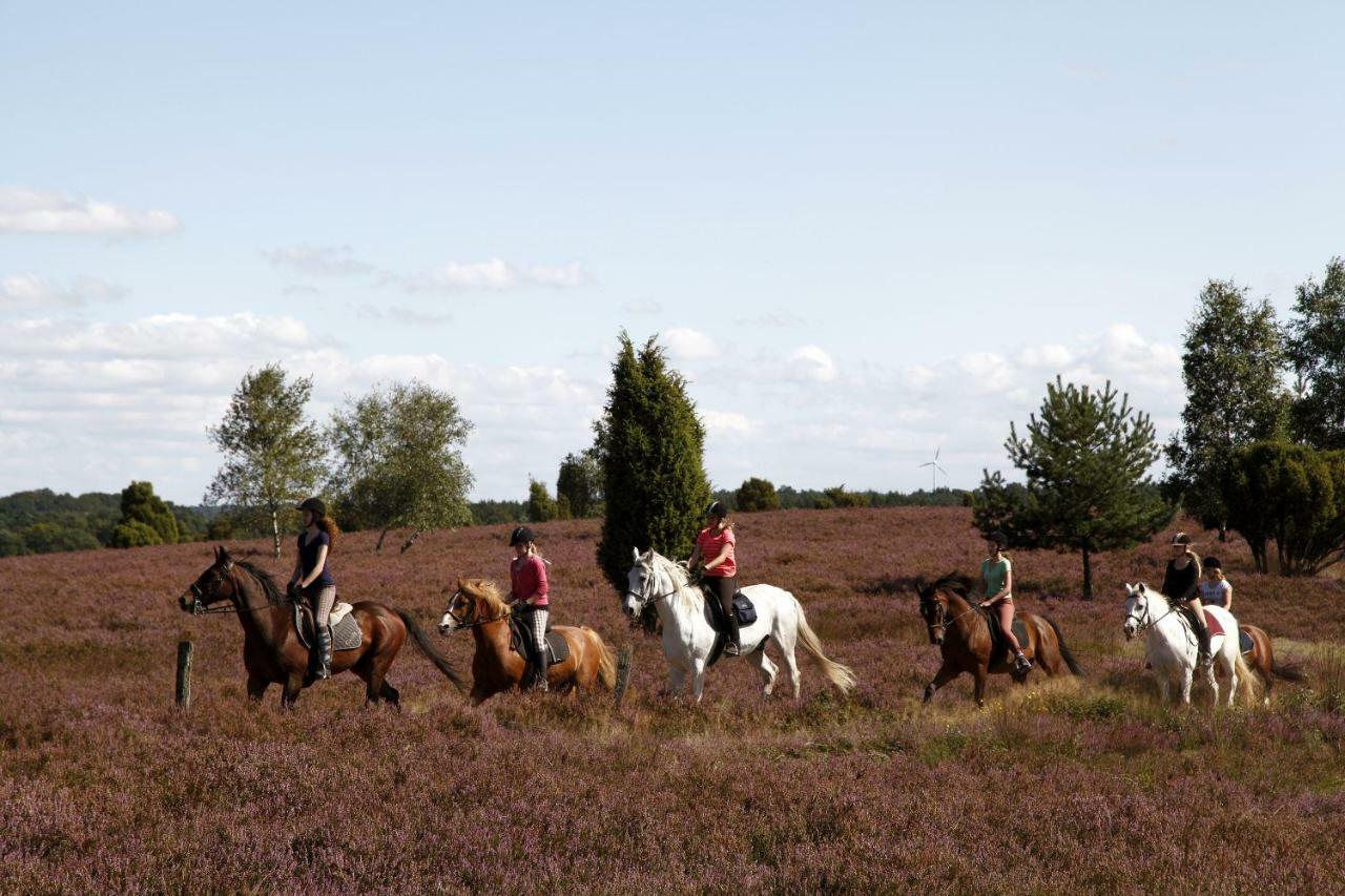 Ferienhof Cohrs Bispingen Bagian luar foto